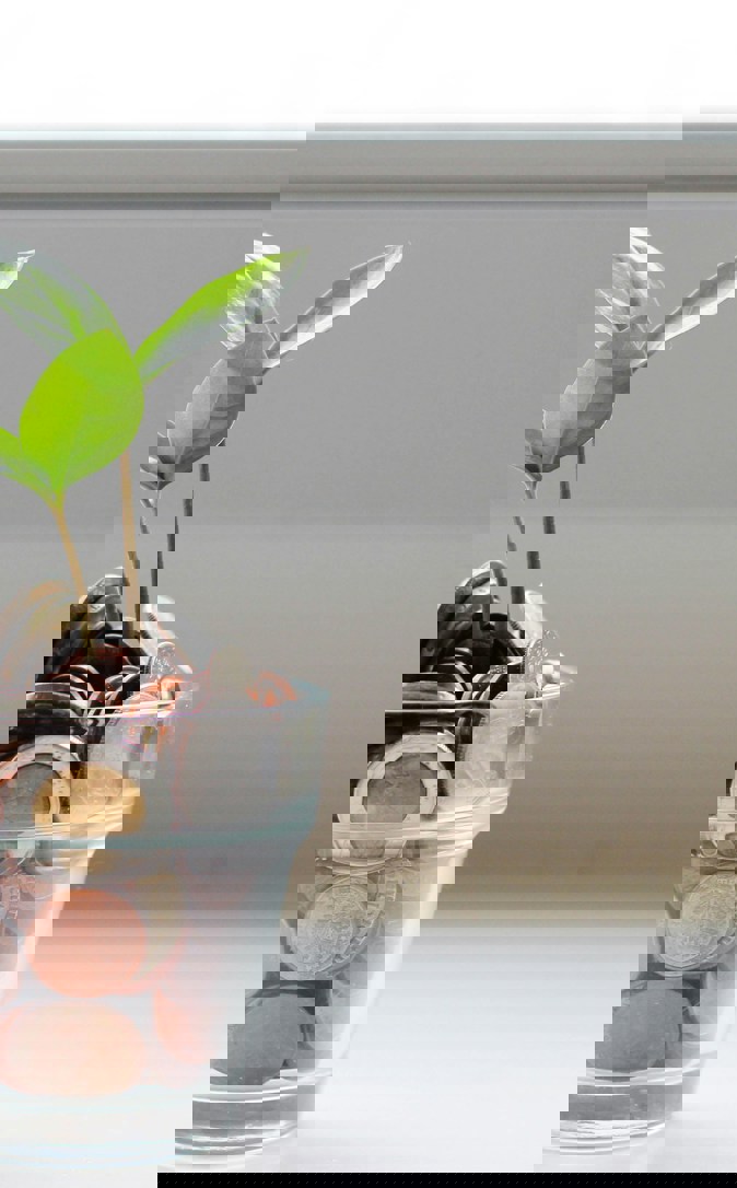 Micheile Henderson Sot4 Mzhyhe Unsplash